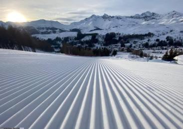 体育成就共享平台