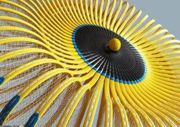 体育项目推广策划